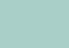 Indocentra Color Palette | Wintergreen Mint